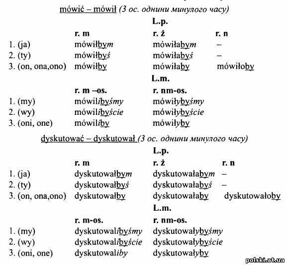 Спряжение глаголов в польском языке. Местоимения в польском языке таблица. Прошлое время в польском языке таблица. Польский язык окончания. Польский язык окончания.