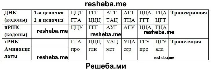 Таблица реализация наследственной информации в процессе биосинтеза. Реализация наследственной информации таблица.