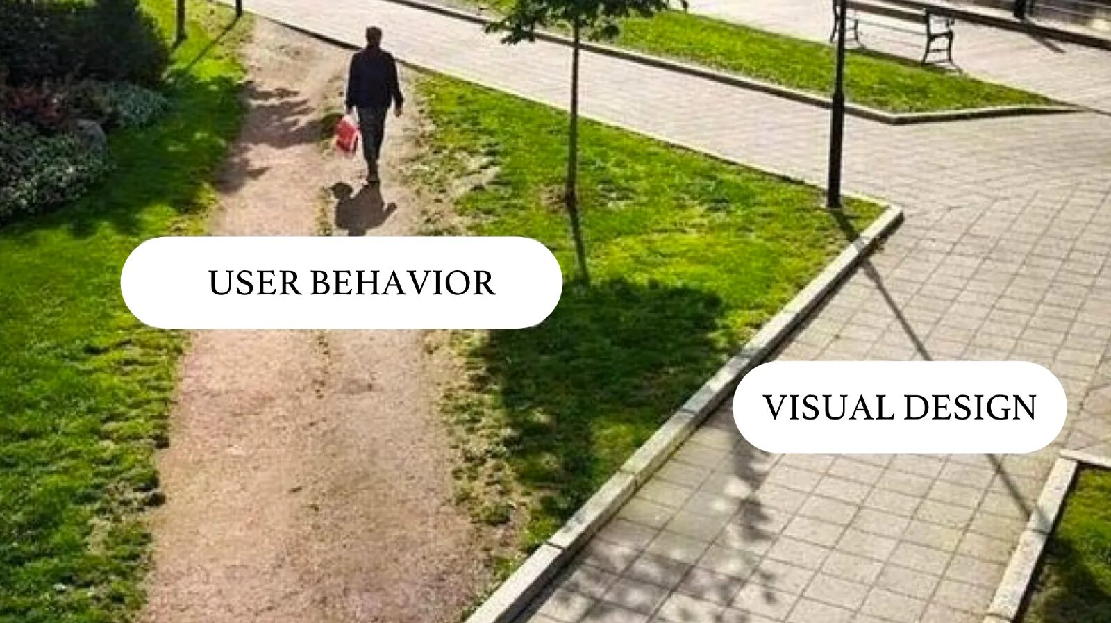 User experience Design. Протоптанная тропинка. User experience мемы. Дизайн vs user experience.