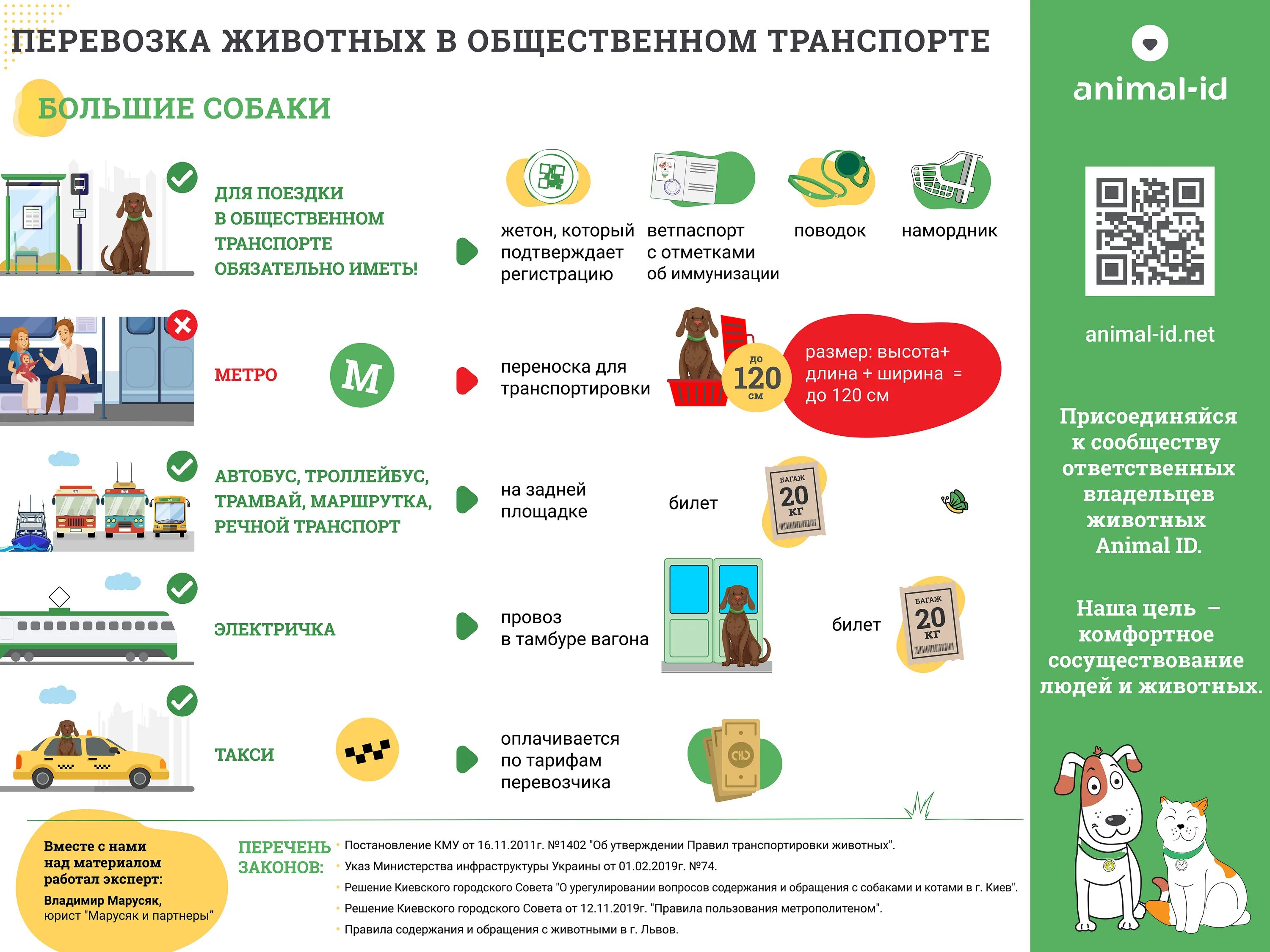 Правила перевозки животных в общественном транспорте. Нормы перевозки собак. Правила перевозки собак. Провоз животных в автобусе.