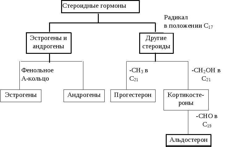 Схема синтеза половых гормонов. Гормоны андрогены и эстрогены. Стероиды эстрогены андрогены прогестероны. Андрогены и эстрогены функции гормона.