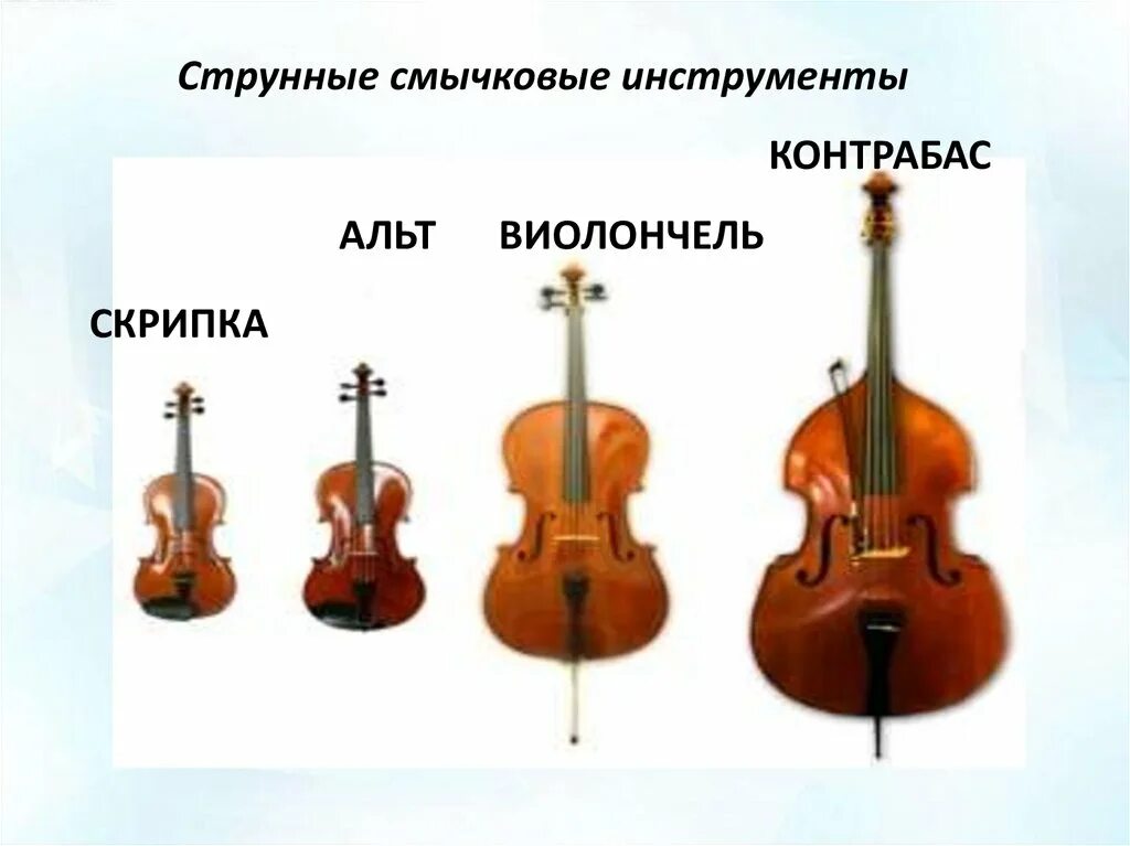 Чем отличается контрабас от виолончели. Струнные смычковые инструменты скрипка альт виолончель контрабас. струнные смычковые инструменты альт. виолончель альт скрипка струнные смычковые. струнные смычковые инструменты скрипка альт.