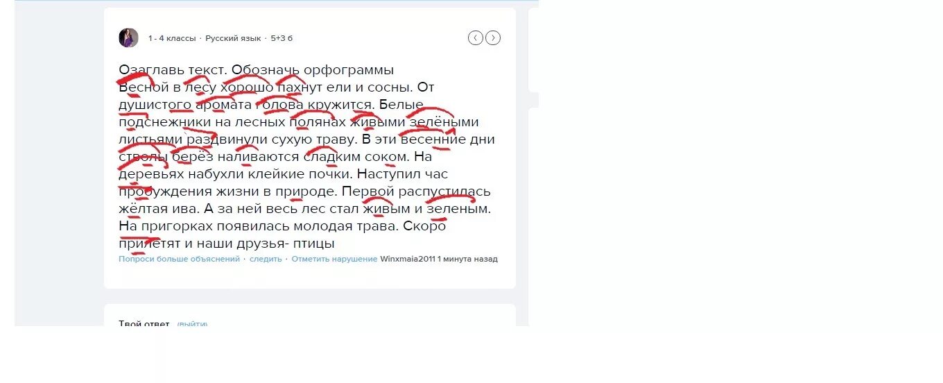 Прочитайте определите сколько здесь предложений в траве. В лесу орфограмма в слове подчеркнуть. Лесов есть орфограмма в слове. Орфограммы в тексте в лесу. Весной в лесу хорошо пахли ели и сосны диктант.