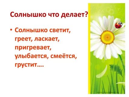 Солнце что делало светило