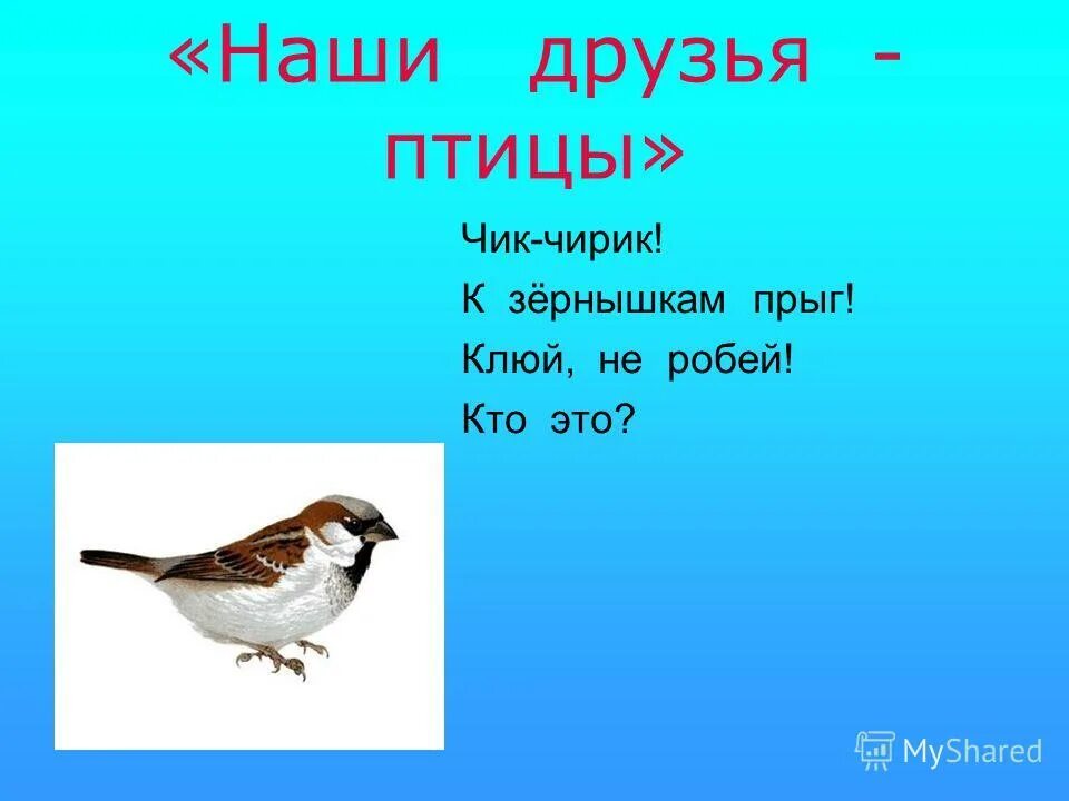 Птицы наши друзья классный час. Птицы наши друзья. Птицы наши друзья презентация. Кл.час птицы наши друзья. Доклад птицы наши друзья.