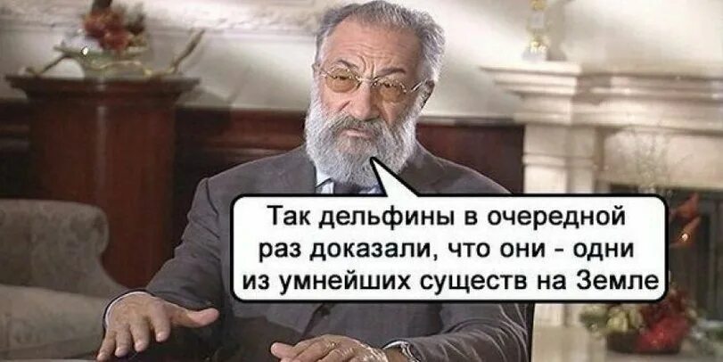 Муж в очередной раз. Так дельфины в очередной раз доказали. Мем дельфины в очередной раз доказали. Доказательства Мем. Дельфины умнее людей.