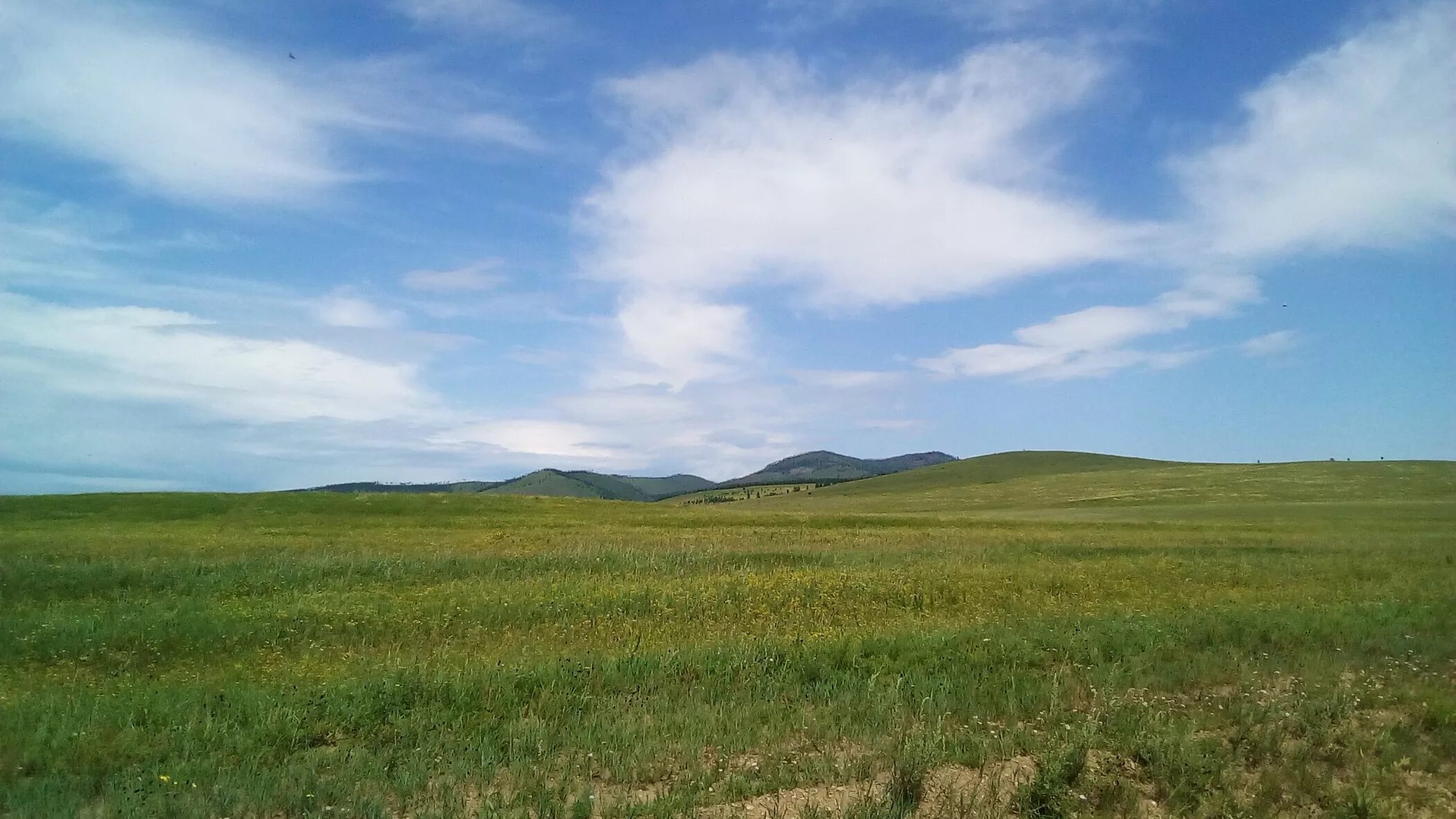 Ивановка курьинский район. Алтайский край Курьинский район село ручьёво. Алтан Забайкальский край. Небо Забайкалья. Казанцево Алтайский край Курьинский район.