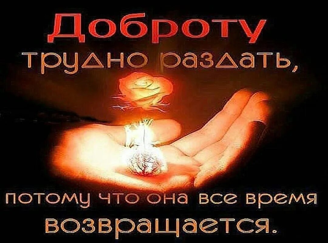Добро которое возвращается. Добро возвращается сторицей. фразы про благотворительность. добро вернется добром. цитаты про помощь.