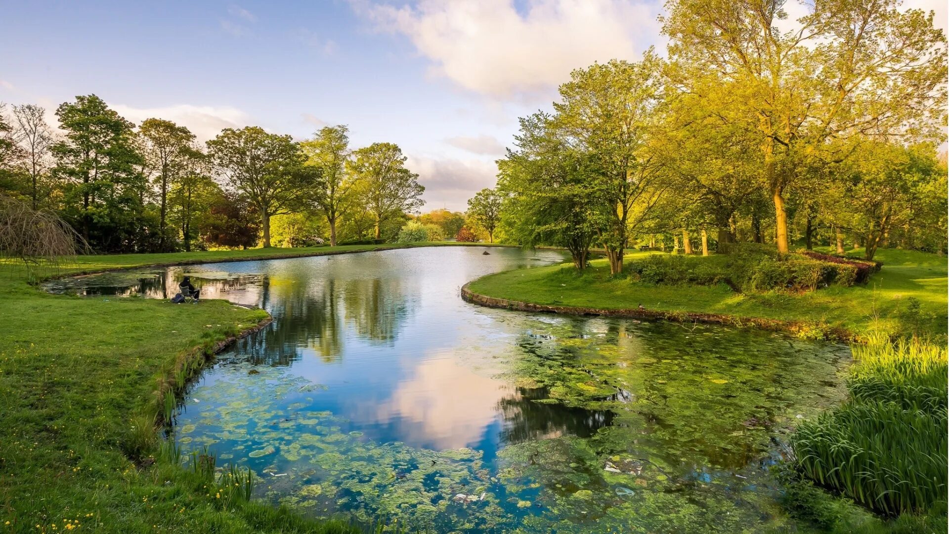 Тихая заводь пруда. Пейзаж с прудом. Пейзаж пруда. Уичито штат канзас. Пейзаж с рекой.