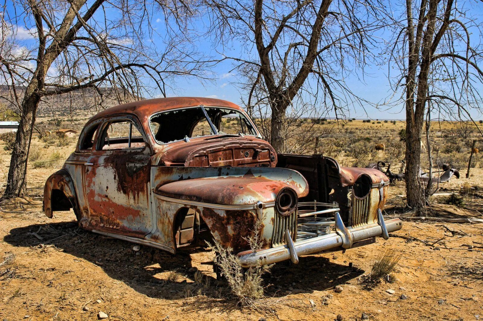 Старые ржавые машины. Старые машины. Видео старых авто. Брошенный фольксваген жук. Ржавый автомобиль.