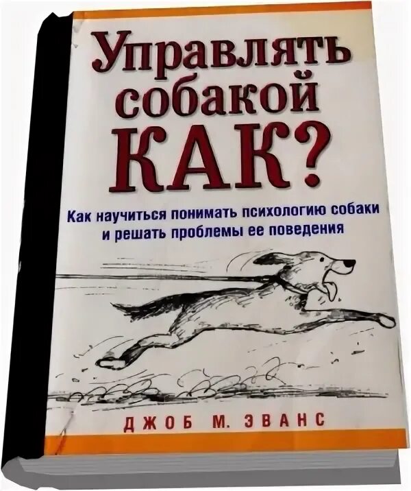Психология собак