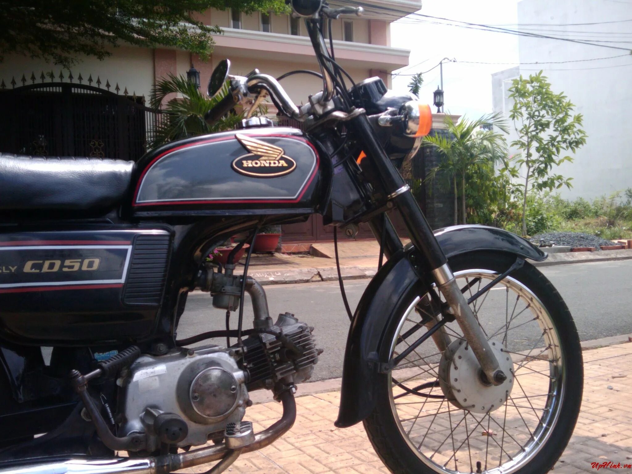 Honda CD 50. Honda cd50 Benly. Honda Benly 50. Honda 50 cc Benly.