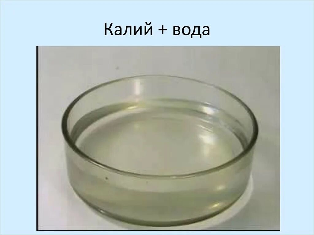 Калий поместили в воду реакция. Взаимодействие воды с калием. Взаимодействие калия с водой. Калий и вода реакция. Калия и вода.