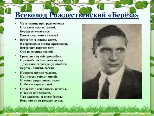 В родной поэзии совсем. Стих берёза Рождественский. Рождественский береза стихотворение. Рождественский сихотворение берёза.