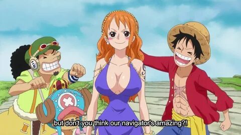 One piece nsfw