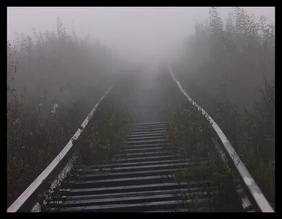 Вникуда или в никуда