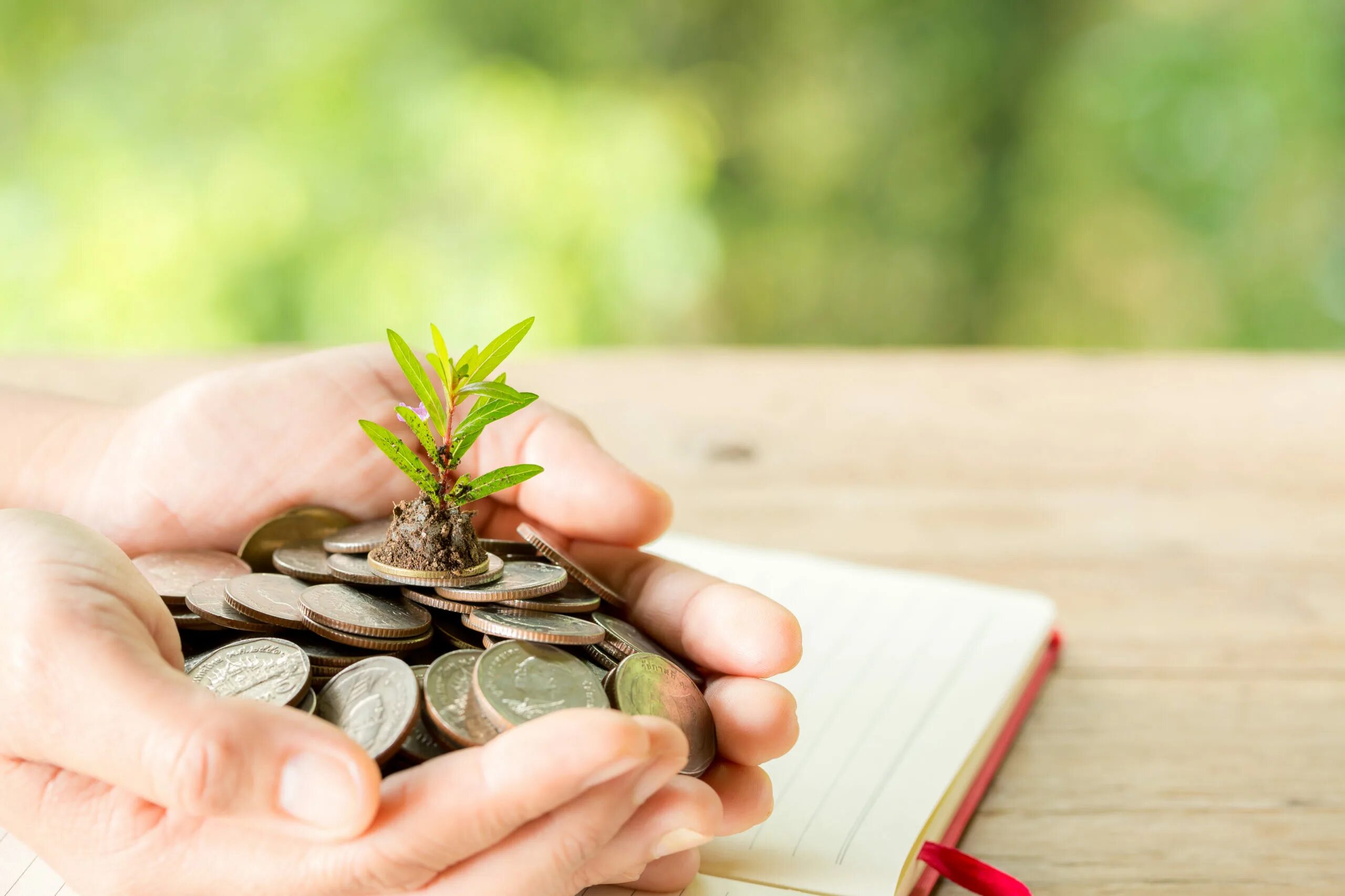 Loans examples