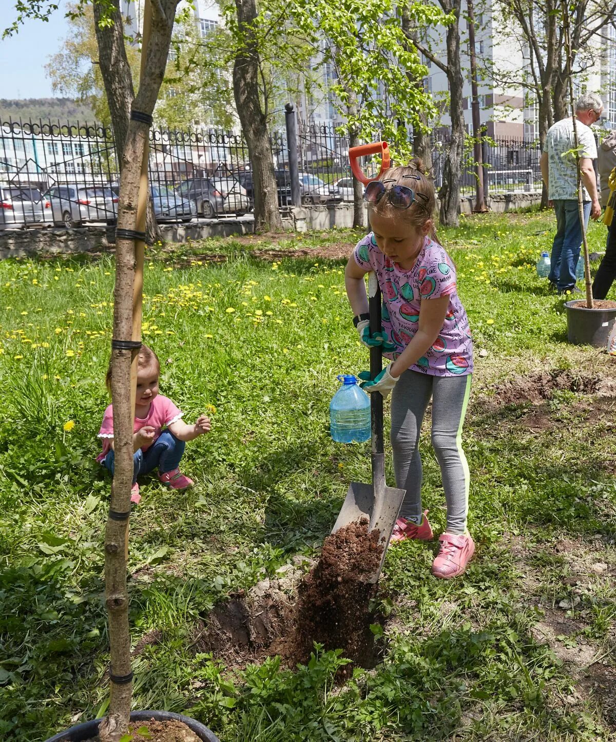 Посадили 150 деревьев. Посадили 150 деревьев