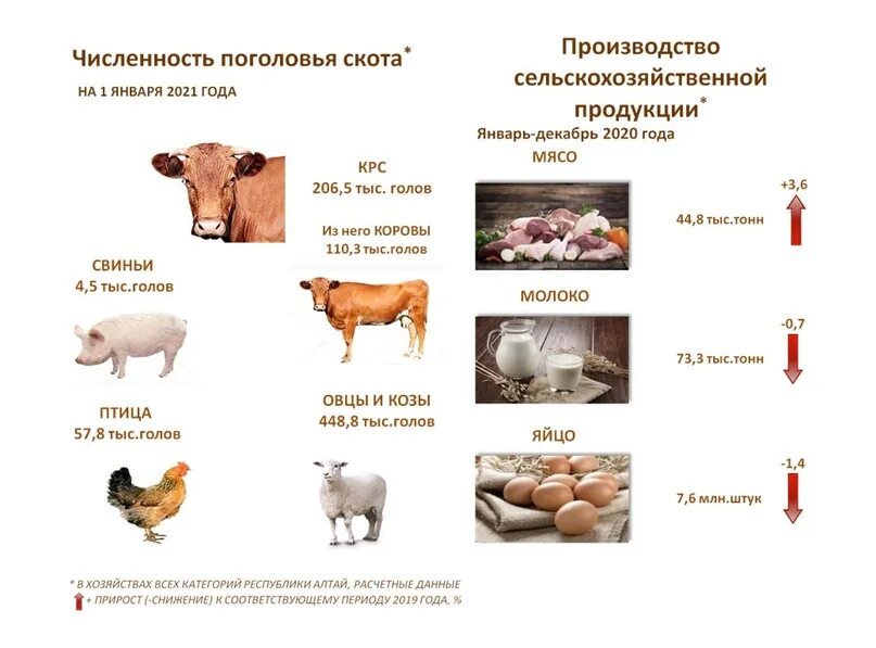 Поголовье крупного рогатого скота в мире в 2020 году. КРС производители. Поголовье крупного рогатого скота (КРС) В 2021 году в. Численность крупного рогатого скота в России 2021.