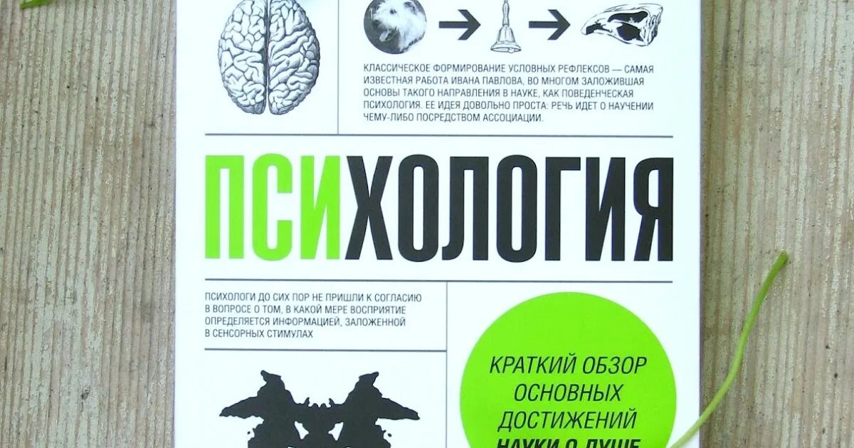 Клейнман воронеж. Пол клейнман. Пол клейман психология. Пол клейман психология. Пол клейнман психология.