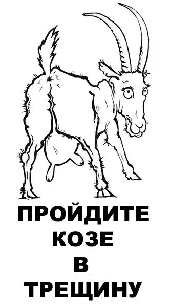 Коза с ручкой. Нарисованный ручкой козел. Козёл с большими яичками. Нубийские козы белые. Иди козе в трещину рисунок.