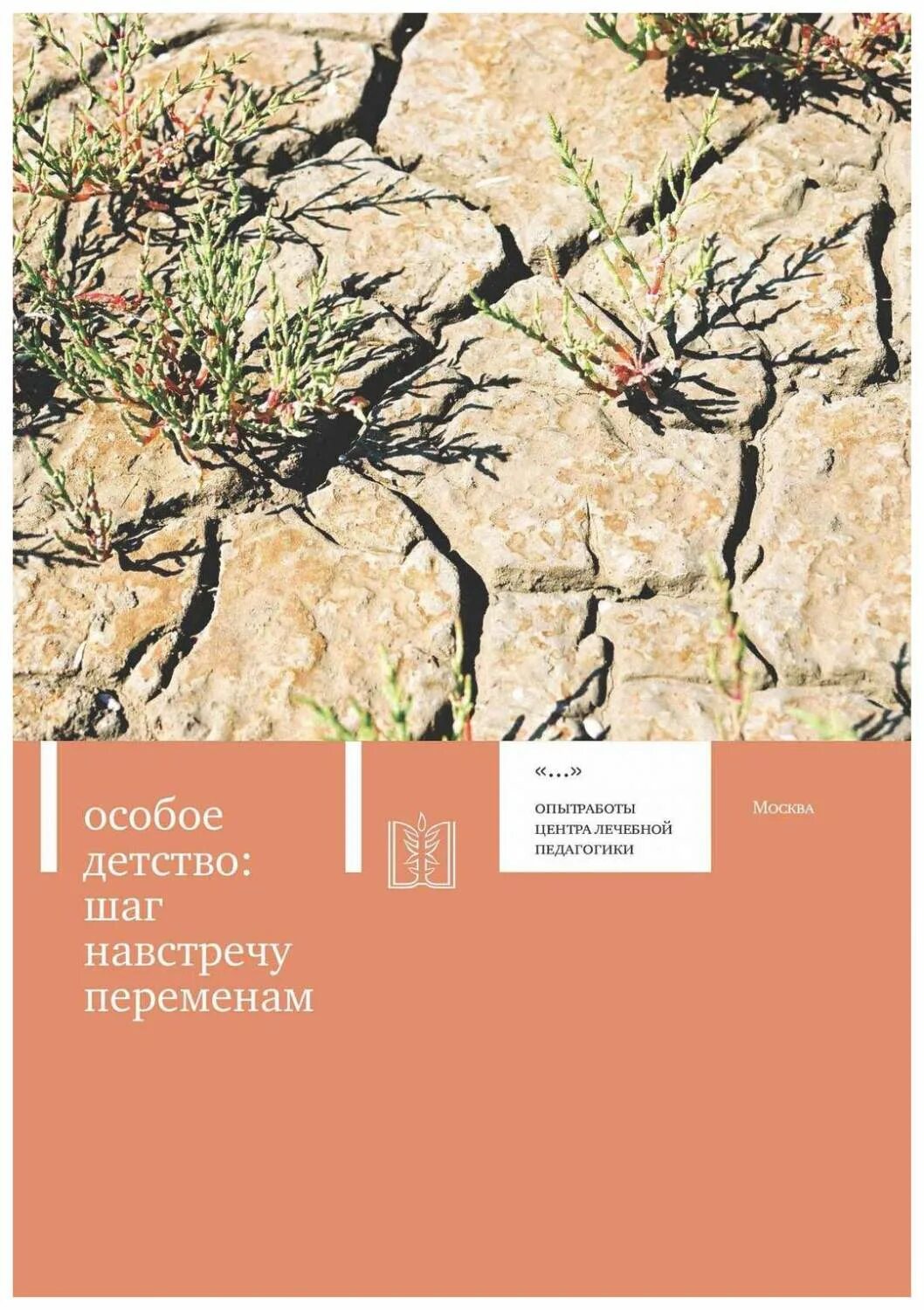 Читать шаг навстречу. Особое детство: шаг навстречу переменам.. шаг навстречу книга. особое детство. шаги детства.