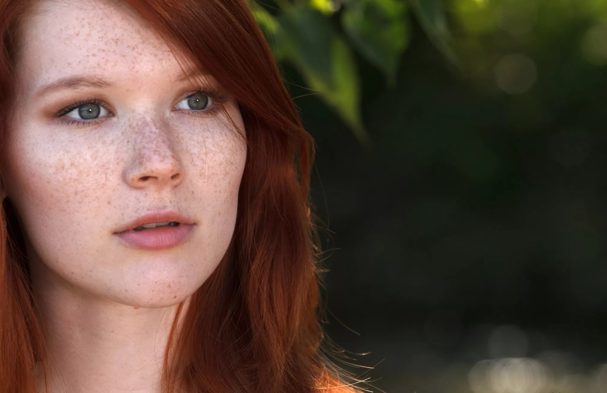 Рыжие девушки. Рыжие девушки с веснушками. Mia sollis 2012. Рыжие девушки с веснушками. Рыжая с веснушками.
