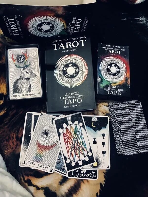 Дикое неизвестное таро. Колода Таро the Wild Unknown Tarot. The Wild Unknown Tarot галерея.