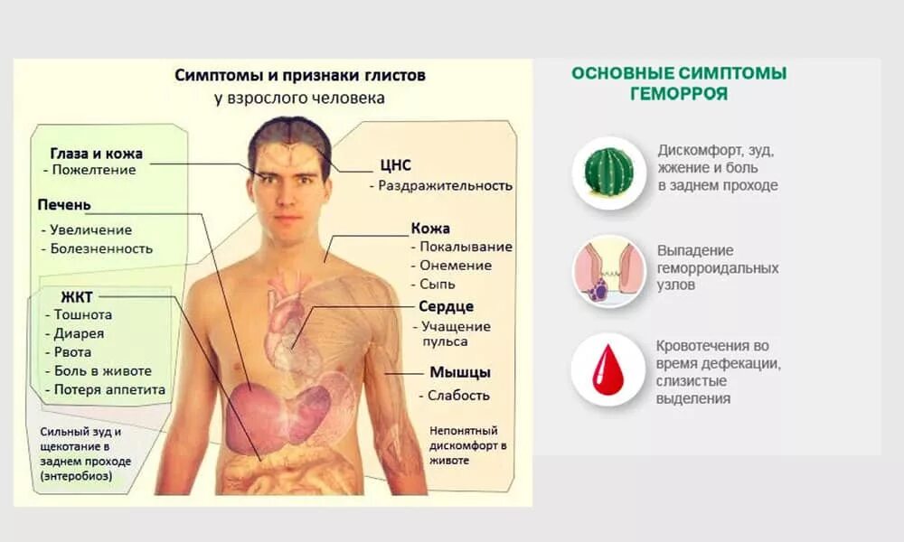 Какие симптомы бывают у человека