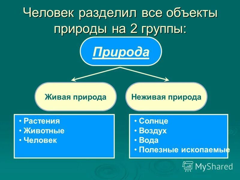 Что такое природа 5 класс. Природа это определение. природа делится на. человеческая природа на что делится. живая природа это определение.