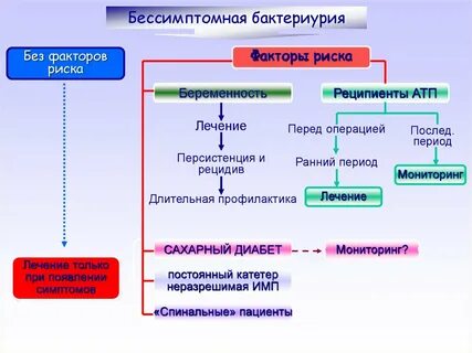 Пиелонефрит инфекция