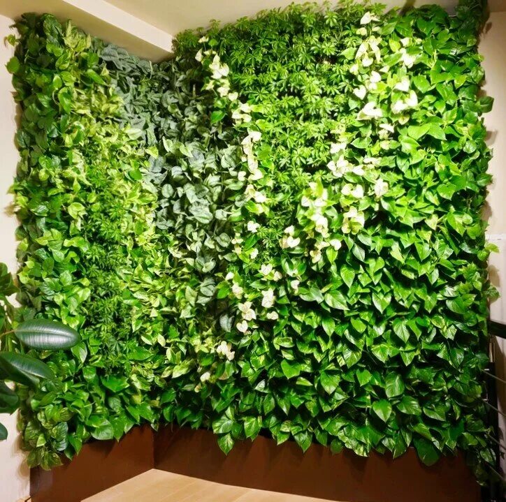 Pinterest Hanging plants indoor, Interior plants, Hanging plants