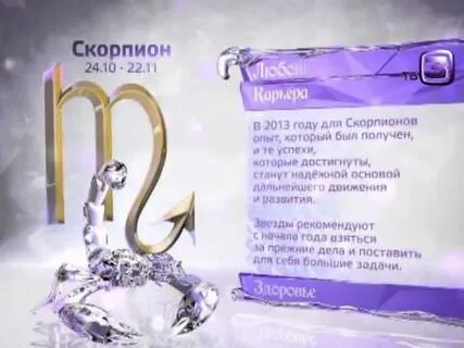 Скорпион профессии