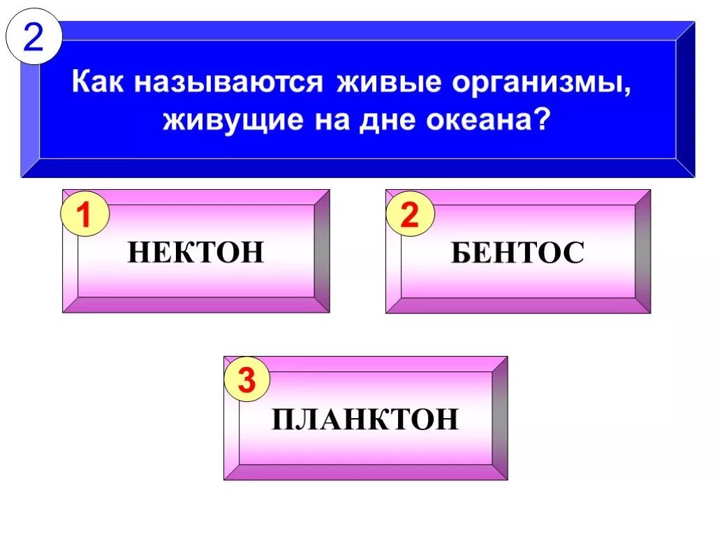 Как называется все новое. Как называется. Как назвать. Как называется как называется. Кпкназываются.