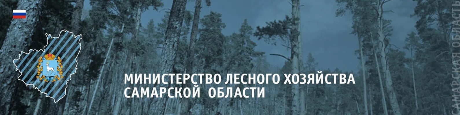 Министерство лесного хозяйства Самарской области. Самара Департамент лесного хозяйства. Министерство лесного хозяйства Самарской области герб.