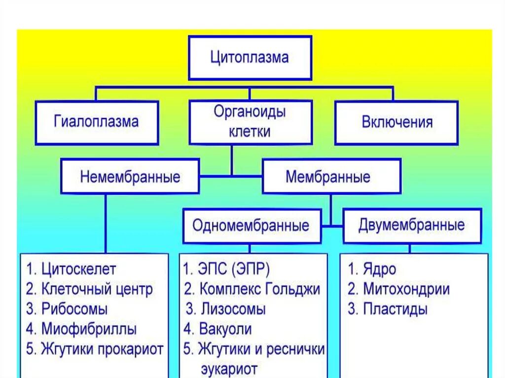 Мембраны одномембранные