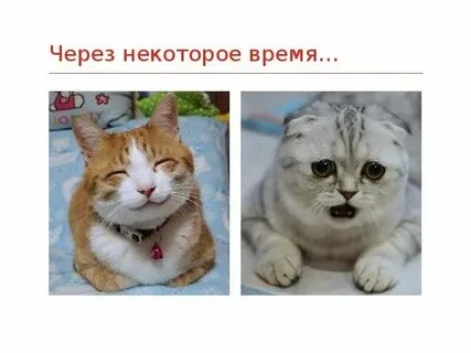 Что через некоторое время она