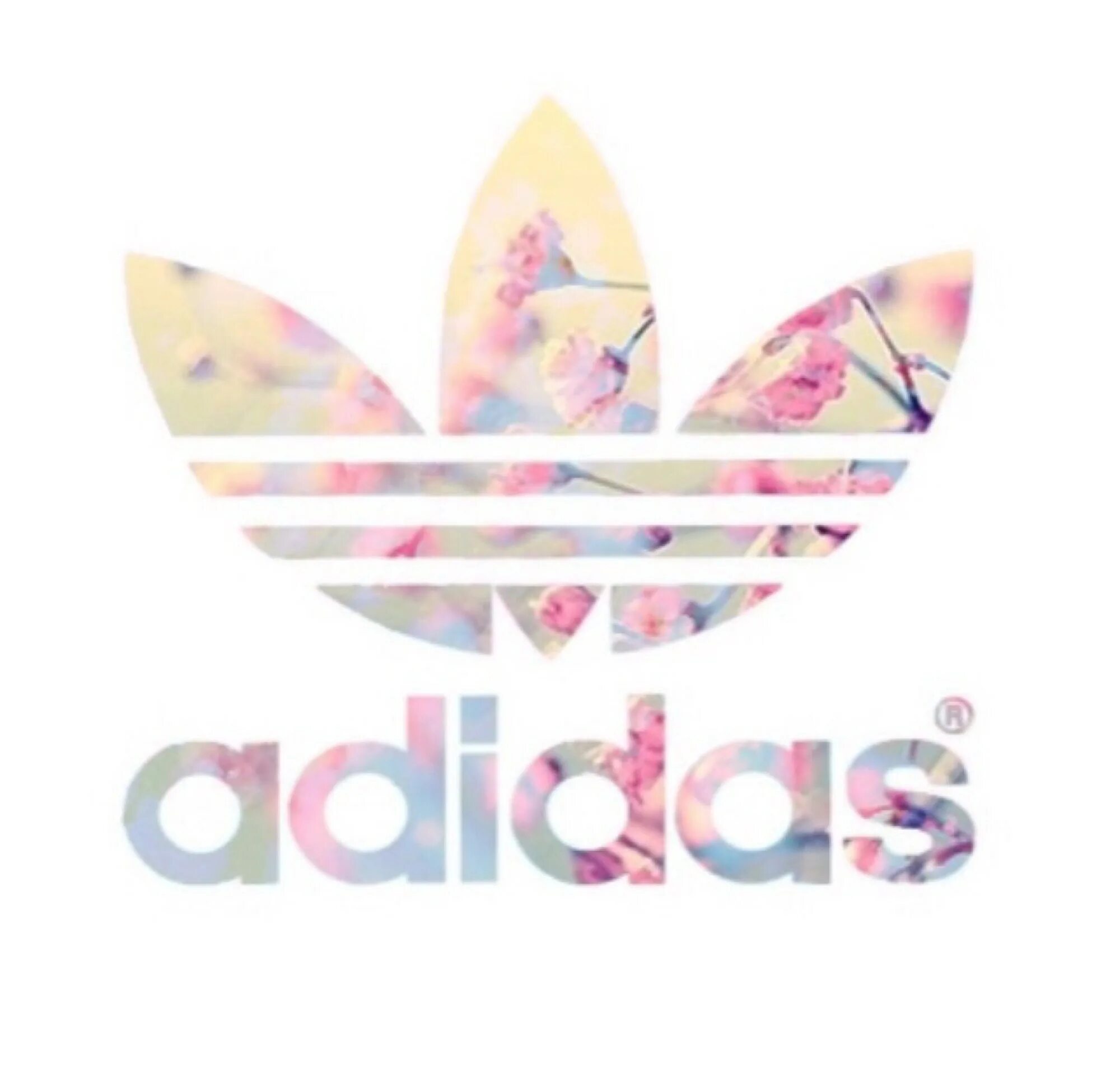 Адидас с цветами. Adidas Floral logo. Цветочки adidas. Адидас логотип цветок. Адидас с цветочками.