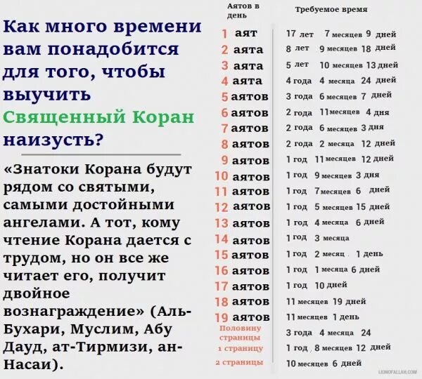 За сколько времени можно прочитать. Сколько сур в Коране. Список сур. План заучивания Корана. Количество аятов в сурах.