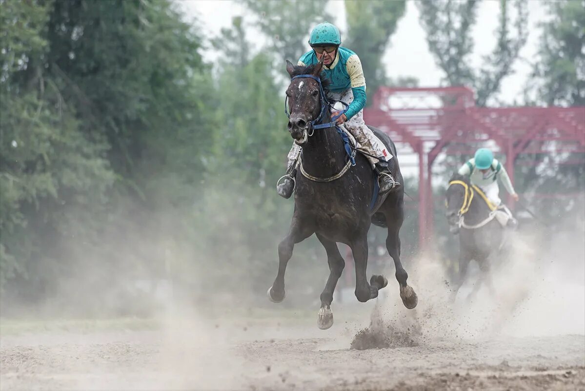 Абаканский ипподром. Большой сибирский круг. Абаканский ипподром. Юрта абакан на ипподроме. Сибирский рысак.