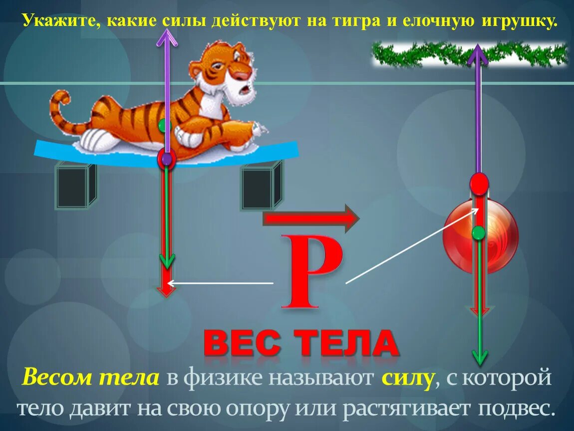 Ацф сила. Какие силы. Вес тела. Укажите какие силы действуют на тело. Весом тела называют силу с которой.