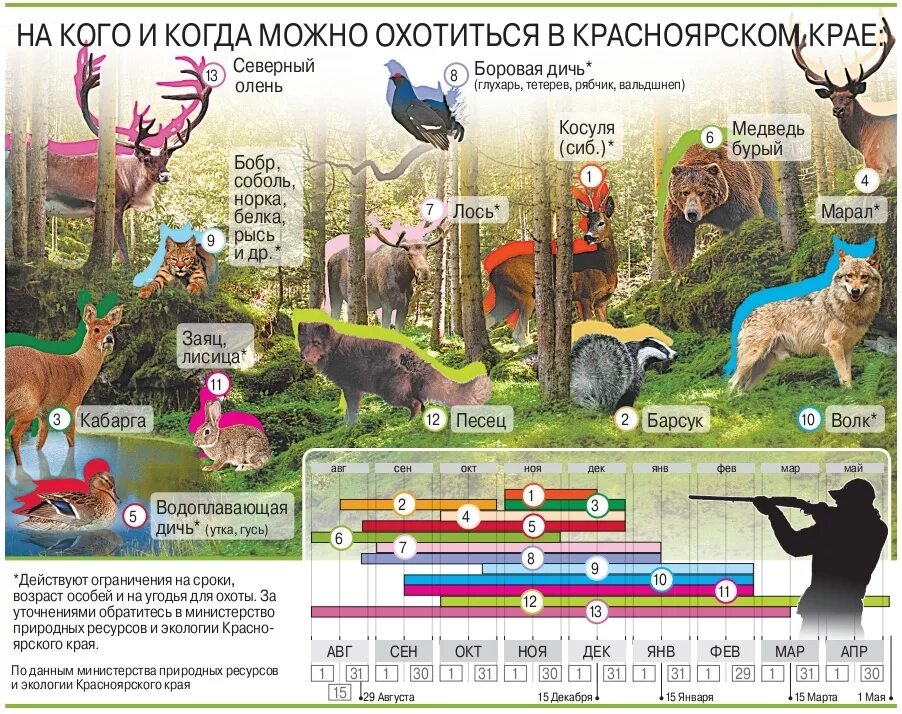 Охотиться перевод. На кого охотятся в России. Календарь охота. На каких животных Модна охотится.