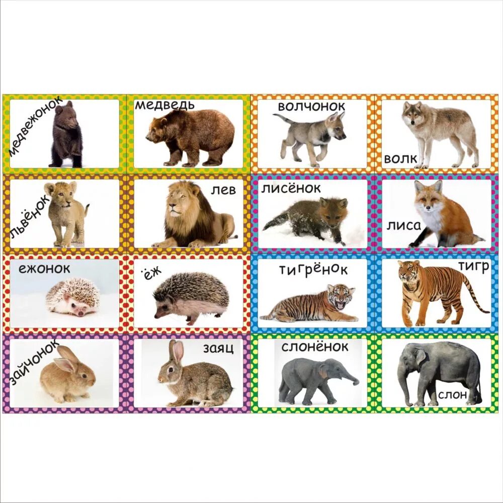 Дикие животные для дошкольников. Диких животных и их названия. Дети животных названия. Карточки с животными для детей.