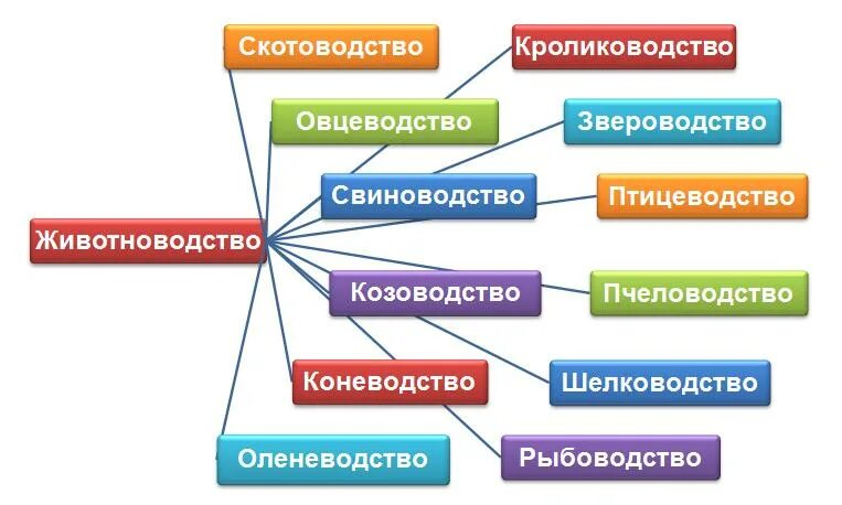 Проблемы сельского хозяйства. Информация о животноводстве. Сообщение на тему перспективы роботизации животноводства. Робототехника вывод. Перспективы роботизации животноводства 8 класс.