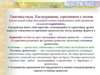 Хромосома отвечающая за пол будущего ребенка