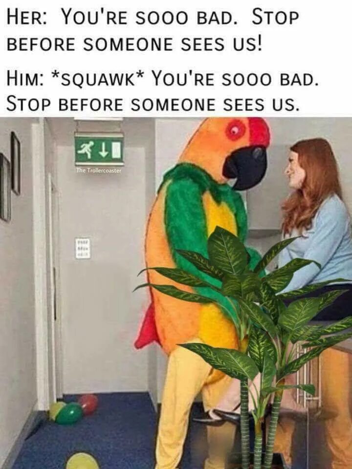 You better stop before. Stop before. You better stop before you.