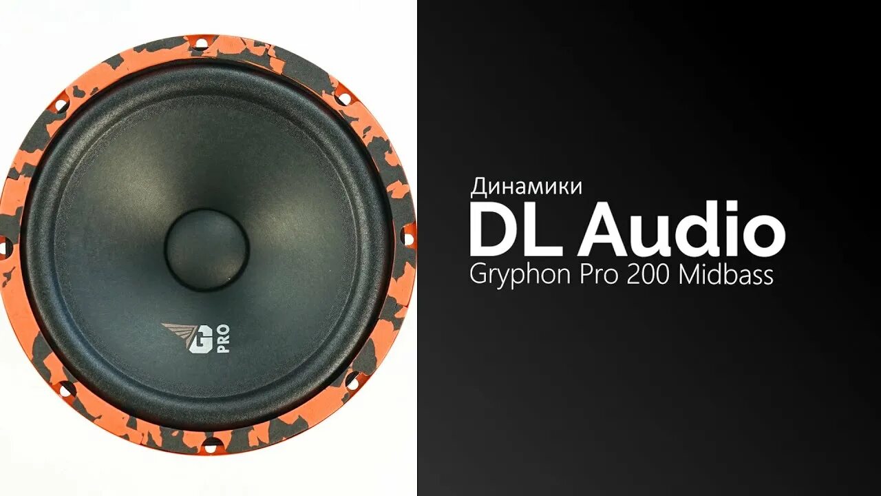 Динамики gryphon pro 165. Dl audio gryphon pro 200. Dl audio gryphon pro 165 мидбас. Dl audio gryphon pro midbass. Dl audio gryphon pro 165 midbass коробка.