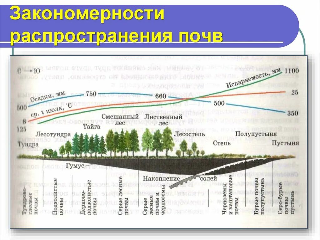 Регионы россии по степени уменьшения естественного плодородия. Основные типы почв России 8. Закономерности распространения почв России 8 класс. Закономерности географического распространения почв. Закономерное распространение почв.