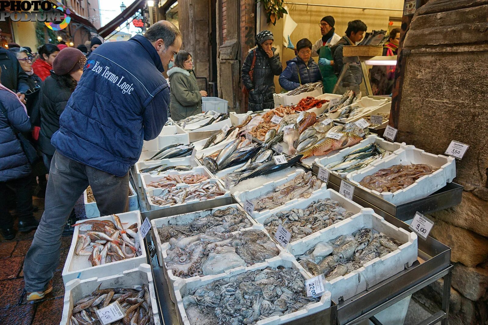 Купили на рынке рыбу. Рыбный рынок. Рыбный рынок в Италии. Рыбный рынок в Харькове. Греческие рыбаки.