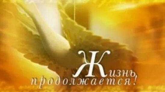 Жизнь продолжается ни на что. А жизнь продолжается. открытки жизнь продолжается. жизнь продолжается надпись. жизнь продолжается стихи.